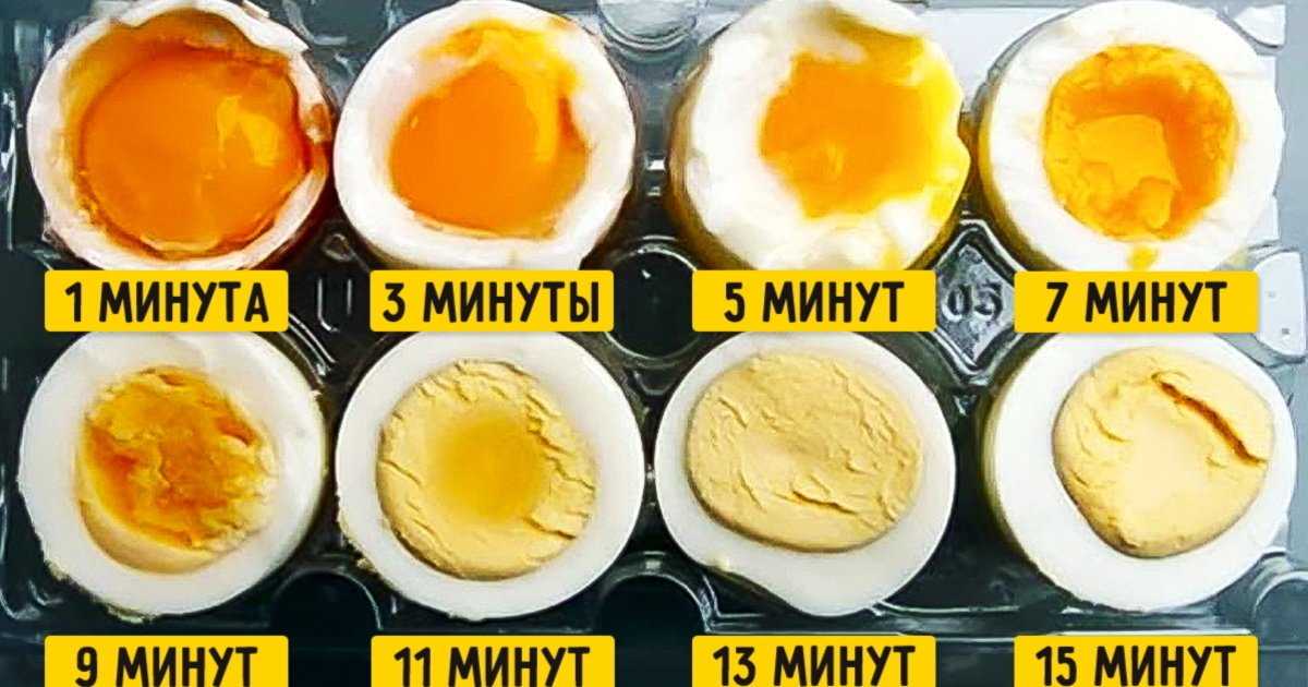 Сколько можно хранить вареные яйца в холодильнике: сроки в днях