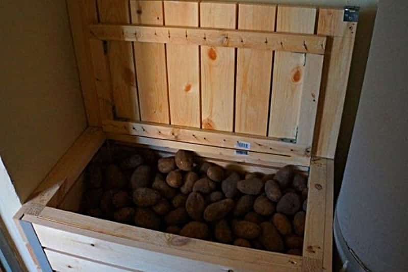 Как хранить картофель, чтобы он не прорастал: 9 шагов