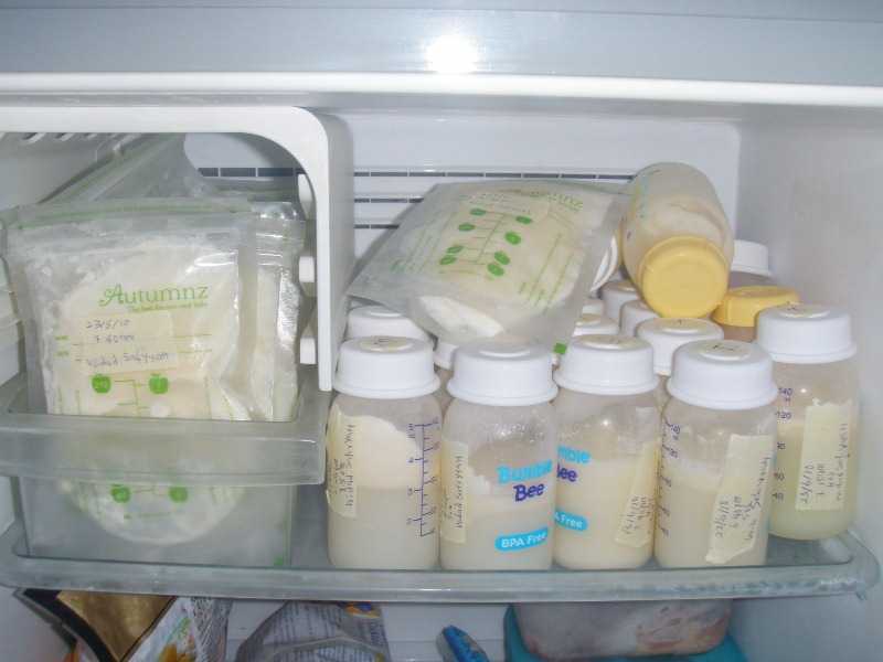 Каков срок годности сгущённого молока?