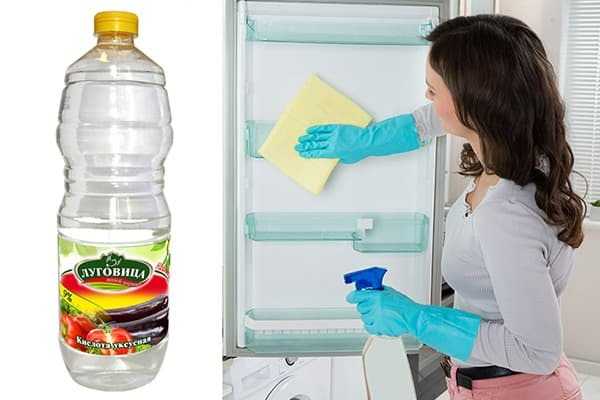 Запах в холодильнике: убираем народными средствами и специальной химией