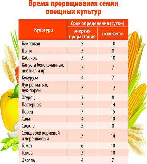 таблица семян овощей