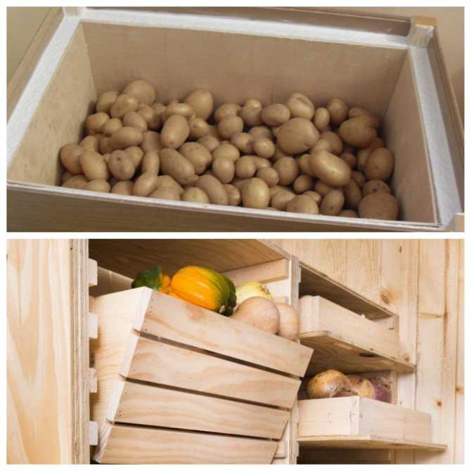 Как хранить картошку в квартире, чтобы не прорастала