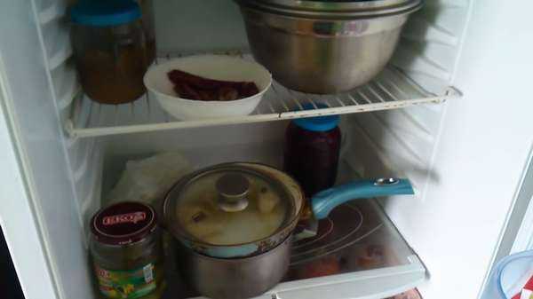 16 способов  отмыть холодильник