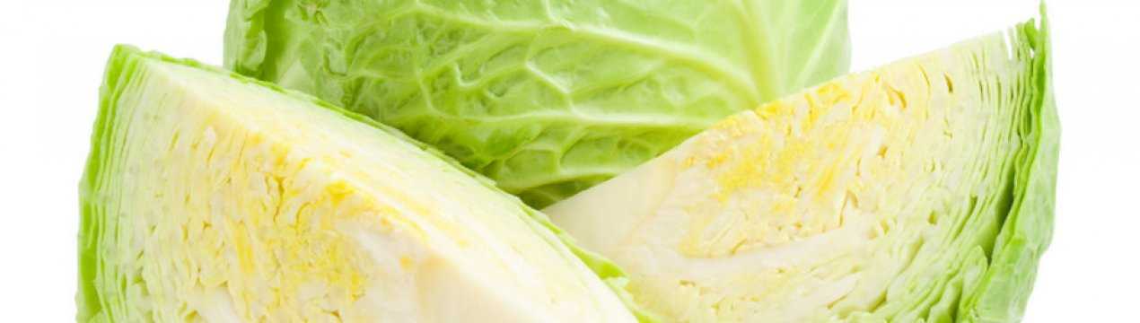 Как хранить капусту в холодильнике, чтобы не чернела и не гнила