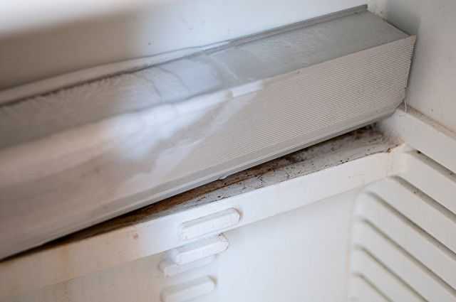 Как избавиться от запаха плесени в холодильнике: почему появляется, чем отмыть резинку