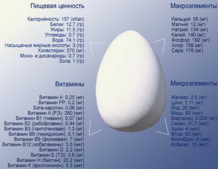 Сколько хранятся вареные яйца в холодильнике: сроки хранения в скорлупе и без (таблица)