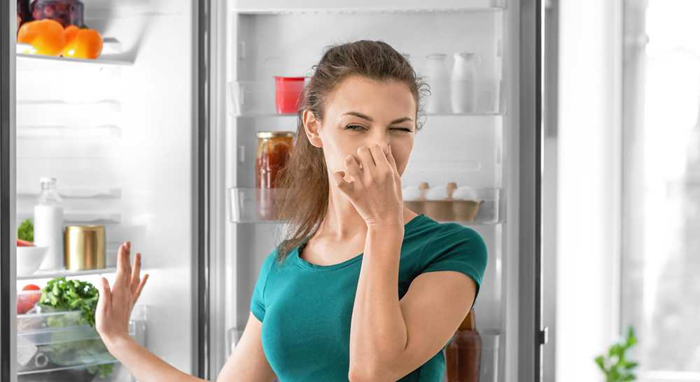Зачем и чем мыть новый холодильник внутри перед включением?