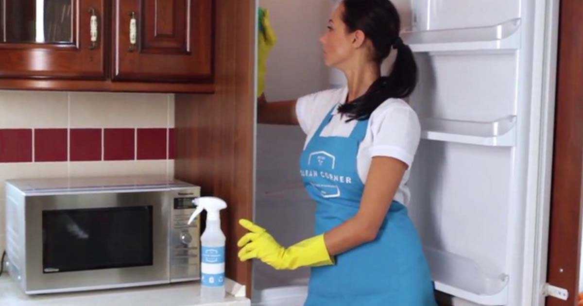 Как правильно разморозить и помыть холодильник? популярные способы и советы