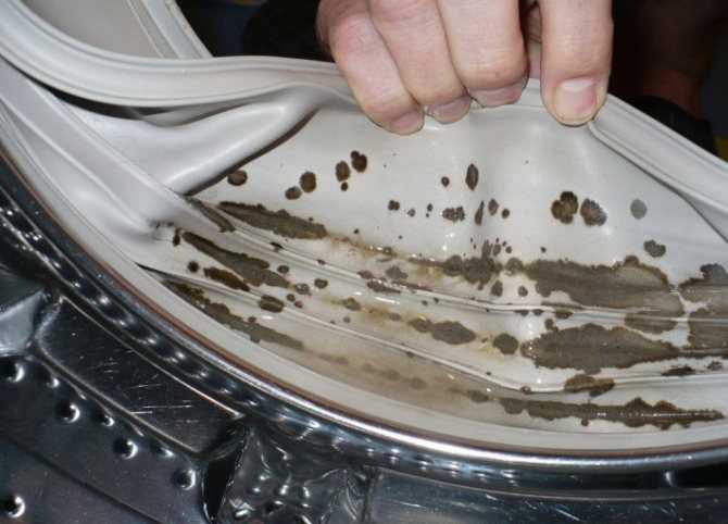Плесень в стиральной машине: как убрать и избавиться от неё