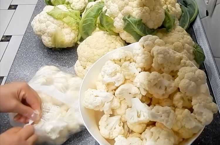Как заморозить капусту белокочанную на зиму в морозилке: способы, советы