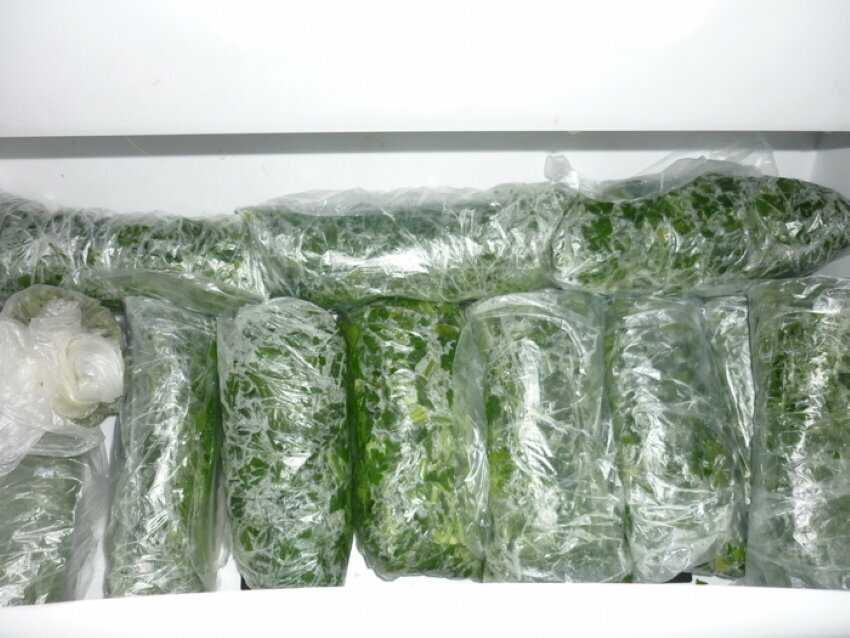Как хранить пекинскую капусту в домашних условиях: свежей в холодильнике, можно ли замораживать на зиму, каков срок хранения овоща?