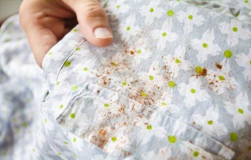 Как отстирать плесень с одежды, как вывести и убрать плесень с ткани, чем отстирать пятна