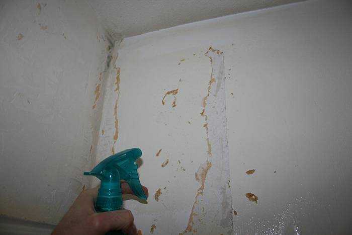 Как снять краску со стен (акриловую и другую) своими руками: как и чем быстро убрать старое покрытие, как удалить покраску под поклейку обоев и т.д.