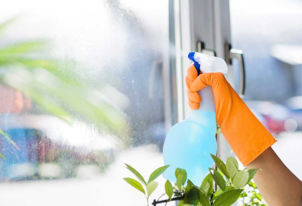 Секреты опытных хозяек: какой тряпкой лучше мыть окна