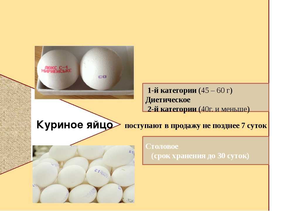 Какой срок хранения яиц? срок хранения сырых и вареных яиц в холодильнике и без него