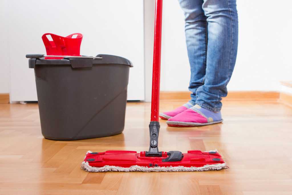Уборка квартиры пароочистителем: позвольте сделать всю грязную работу за вас