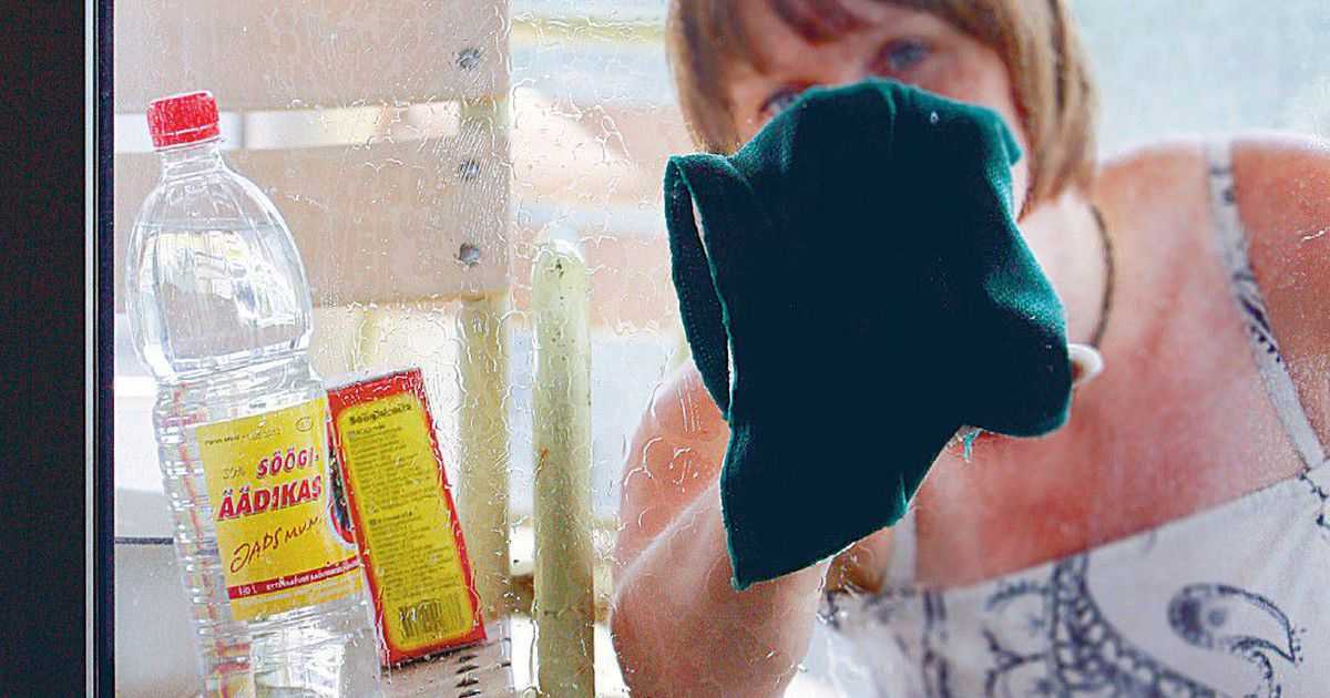Как работает моющий пылесос: что можно им мыть, инструкция по эксплуатации