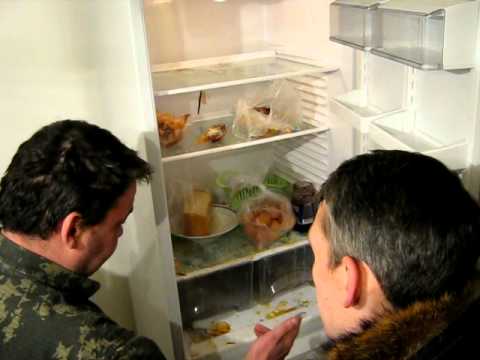 Как в домашних условиях убрать запах из холодильника после протухшего мяса?