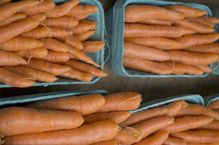 Как заложить морковь на хранение: как правильно закладывать овощ, чтобы сберечь в зимний период в песке, опилках или глине в погребе, какие сорта овоща лучше? русский фермер