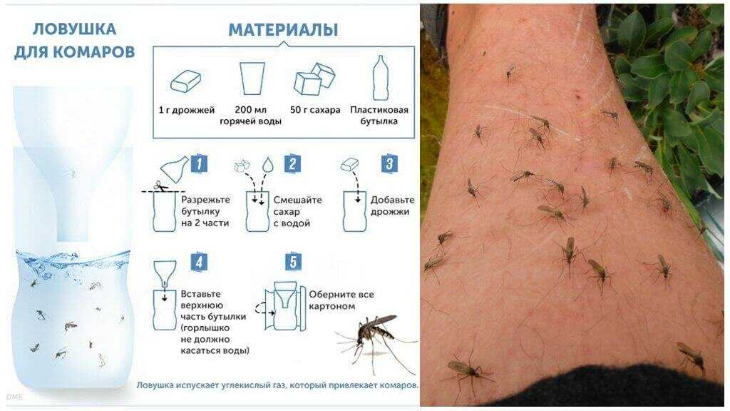 15 способов защиты от комаров народными средствами
