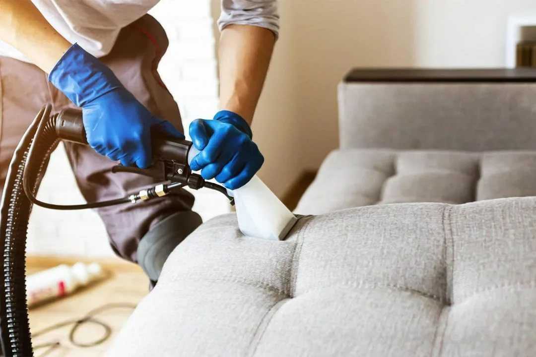Как быстро и эффективно избавиться от запаха рвоты на диване