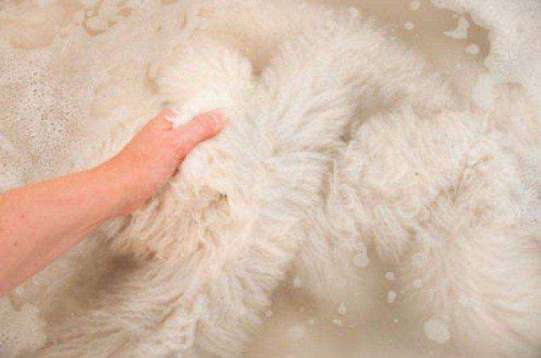 Как почистить искусственный мех в домашних условиях: эффективные способы