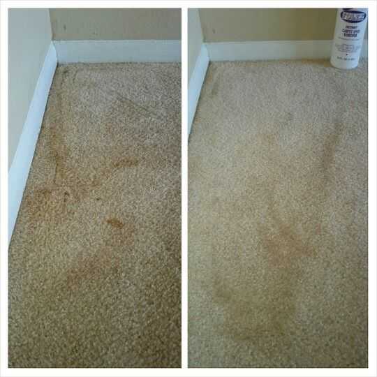 Чистка ковров в домашних условиях с содой и уксусом: чистим своими руками