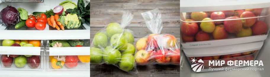 Как хранить урожай свежих яблок в квартире на зиму?
