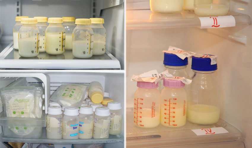Хранение сцеженного грудного молока по всем правилам