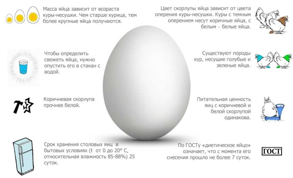 Сколько вареные яйца хранятся в холодильнике