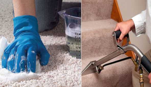 Как в домашних условиях почистить ковер от пятен, запаха и шерсти
