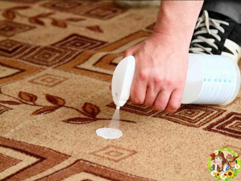 Как мыть ковры моющим пылесосом: виды ковров, дополнительные средства для мытья, правила чистки ковра и рекомендации изготовителя