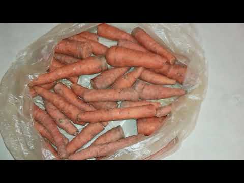 Как хранить морковь зимой в погребе и подвале - лучшие способы с фото и видео
