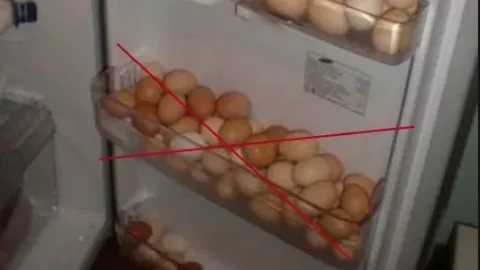 Сколько хранятся вареные яйца в холодильнике: 12 способов и 12 правил