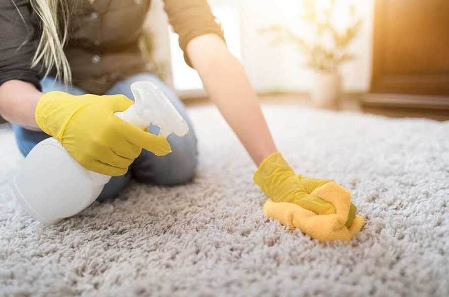 Как почистить ковёр в домашних условиях от пятен, запахов