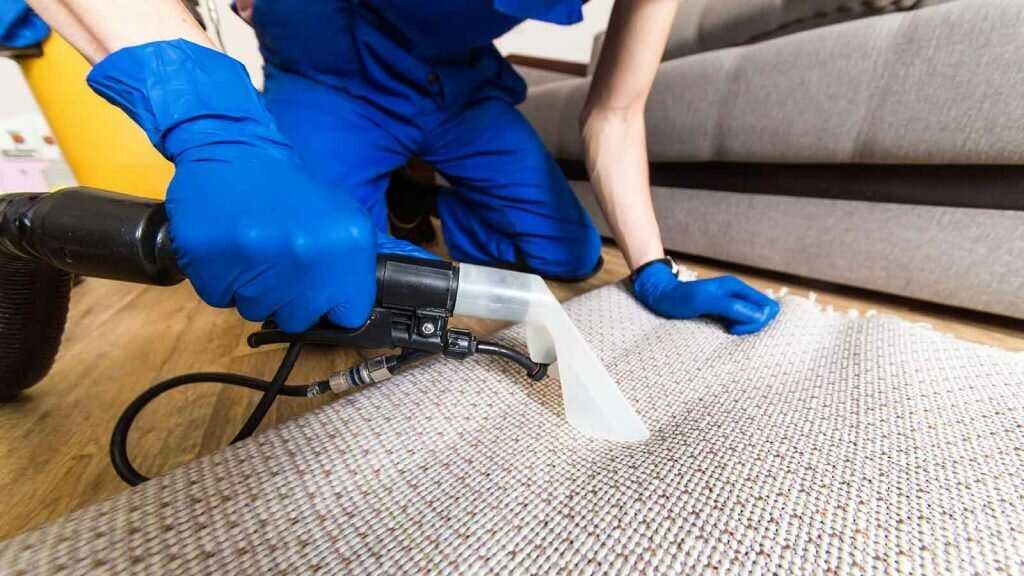 Как почистить ковролин в домашних условиях - лучшие средства и пошаговая инструкция