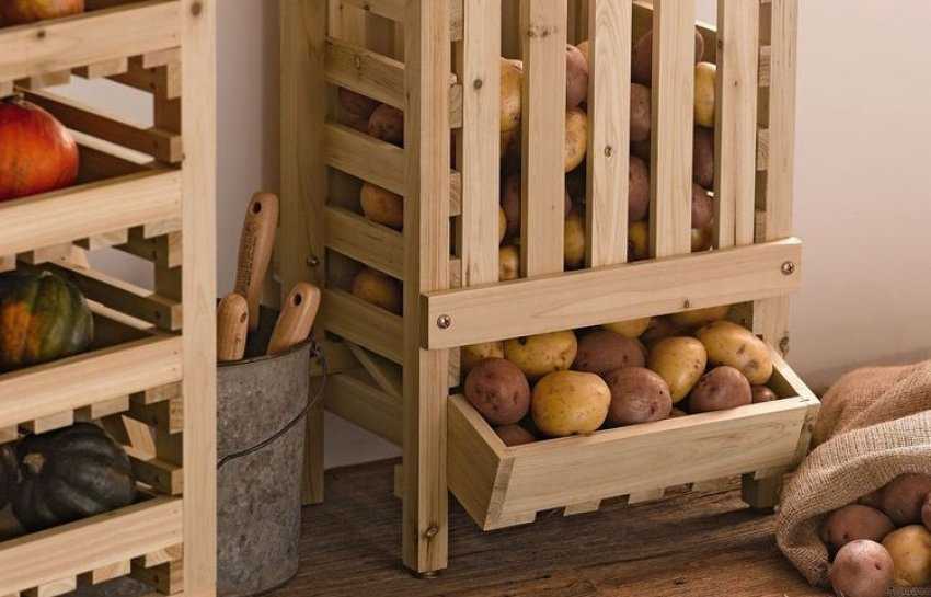 Хранение яблок в погребе с картошкой. как хранить яблоки на зиму?