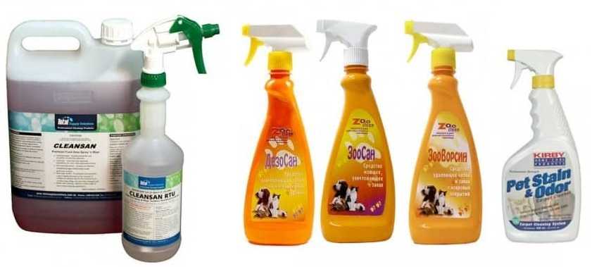17 проверенных способов убрать запах собачьей мочи с ковра в домашних условиях