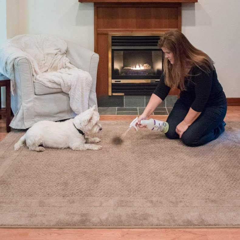 Из этой статьи вы узнаете, как убрать запах собаки в квартире или доме, как избавиться от неприятного аромата псины, мочи домашними средствами, устранить специальной бытовой химией