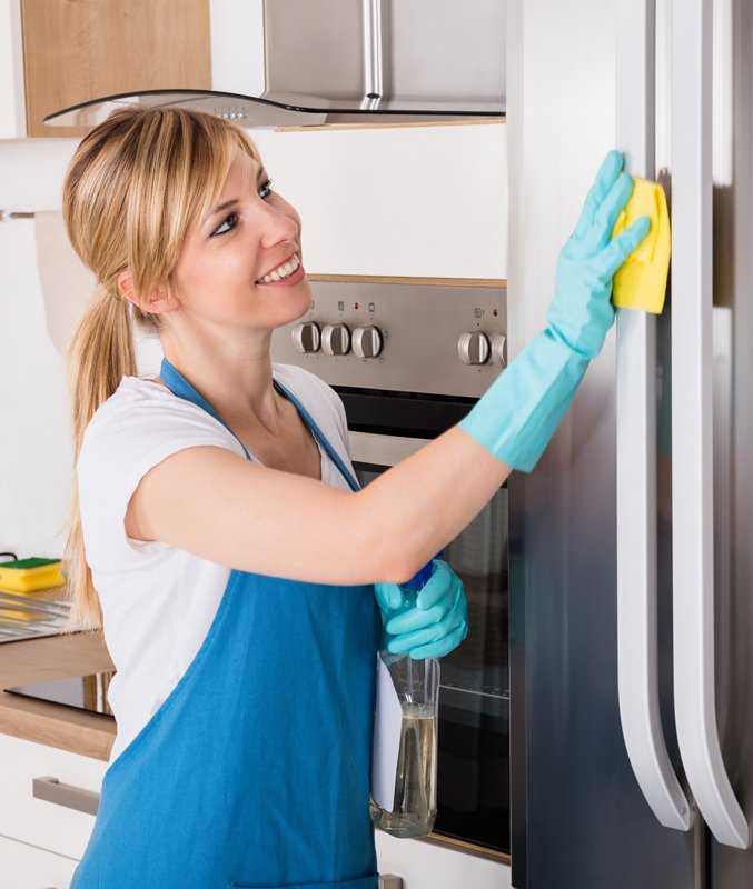 Чем мыть холодильник внутри и снаружи: 30 лучших средств в домашних условиях