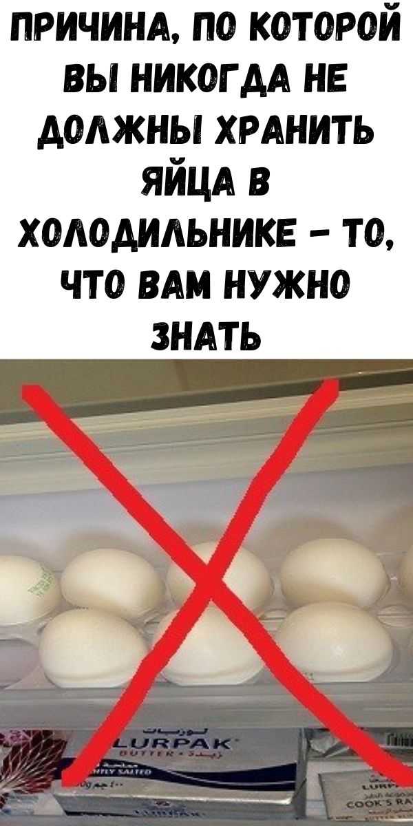 Срок годности различных видов яиц в бытовом холодильнике в зависимости от условий хранения