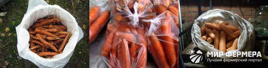 Cпособы хранения моркови в домашних условиях