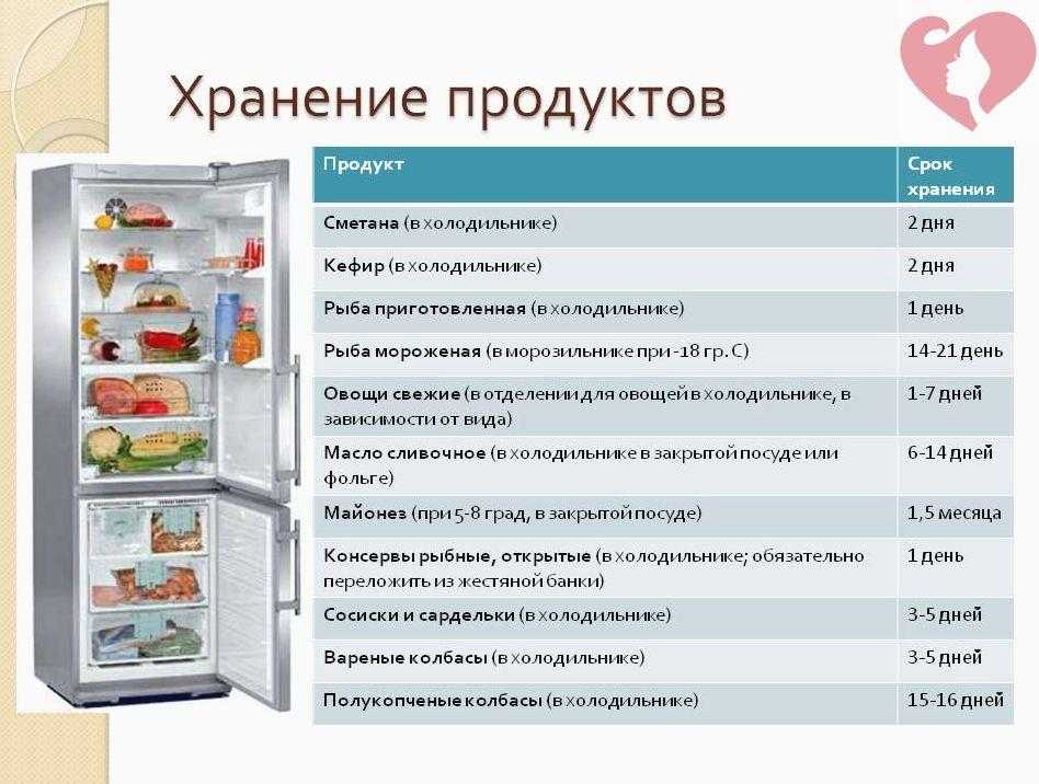 Хранение продуктов в холодильнике: правила и сроки