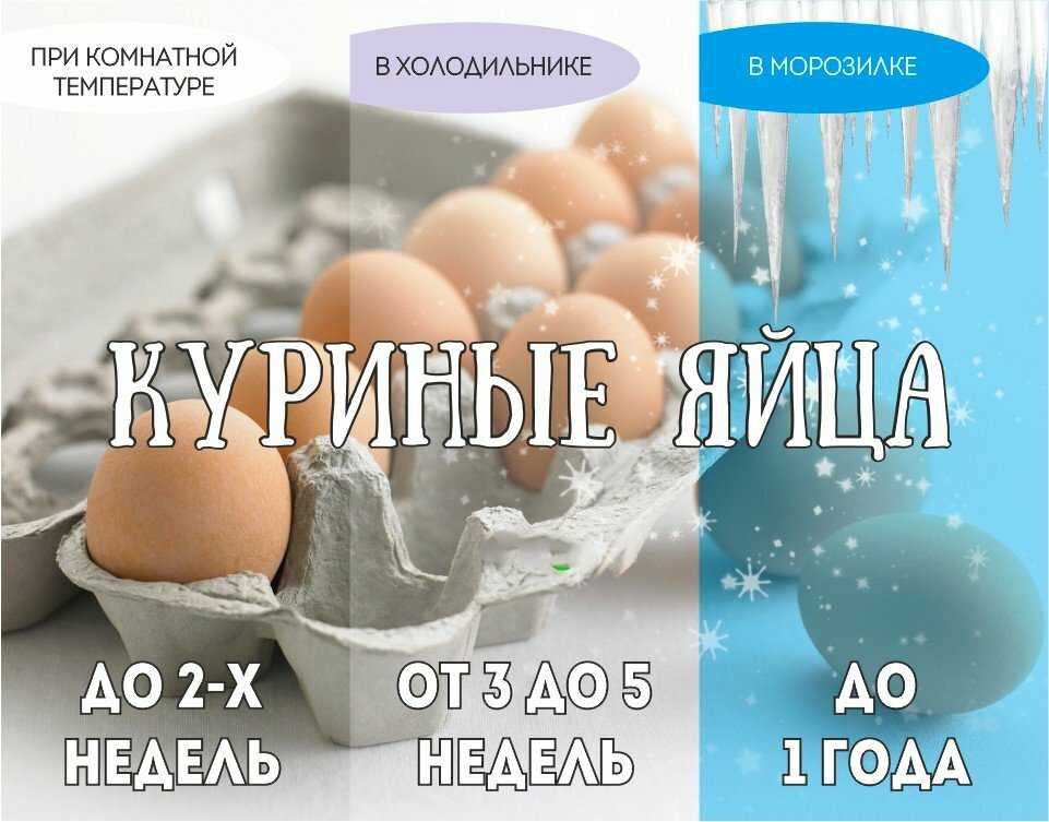 Сколько хранятся вареные яйца при комнатной температуре: срок хранения в скорлупе и без, можно ли увеличить период годности, как понять, что продукт испорчен?