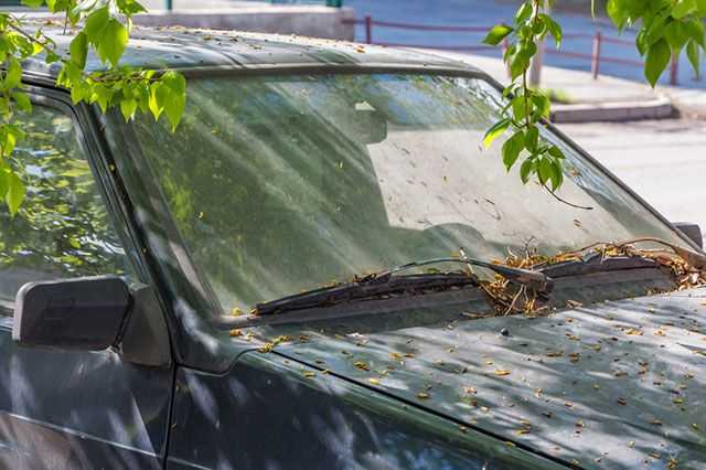 Чем отмыть тополиные почки с машины?