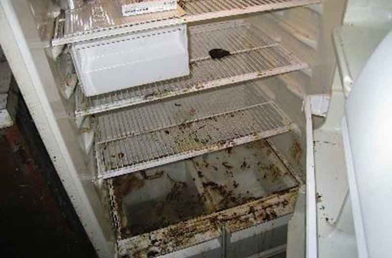 Чем помыть холодильник внутри чтобы не было запаха