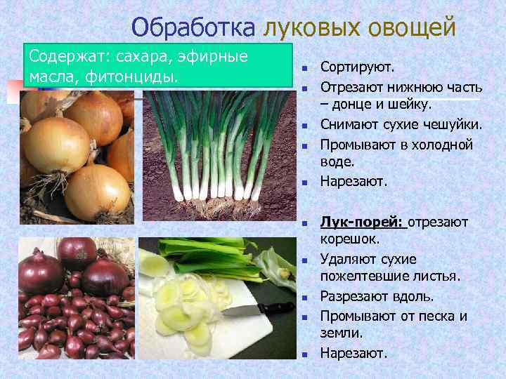 Можно ли лук хранить в холодильнике (репчатый, очищенный, зеленые перья, чтобы они оставались свежими): на нижней полке и сколько?