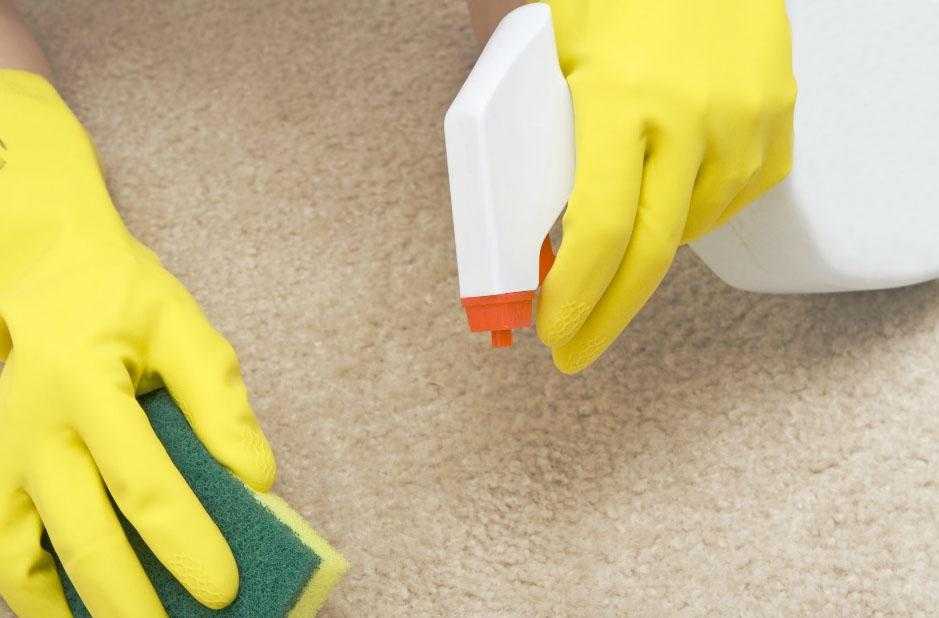 Как почистить шерстяной ковер домашними средствами