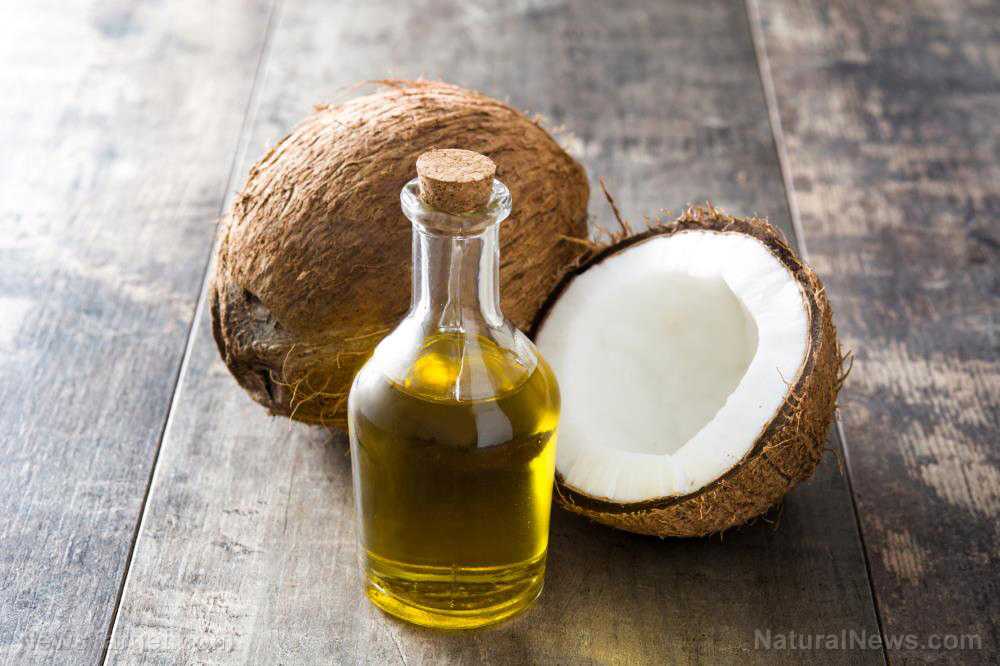 Какое масло для волос лучше кокосовое или оливковое масло