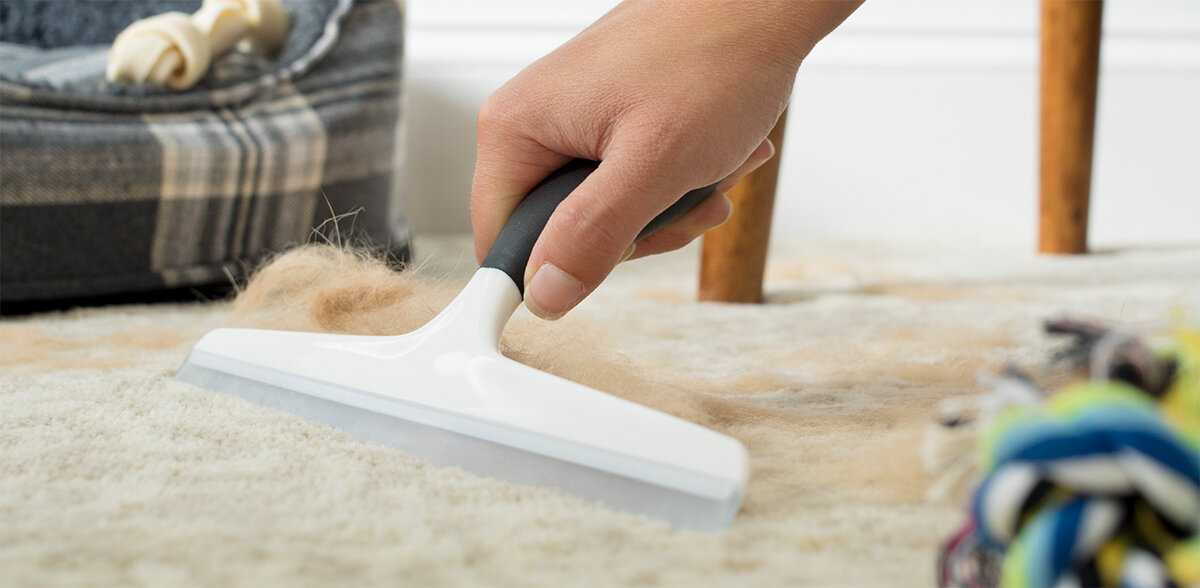 Как избавиться от кошачьей шерсти? методы, с помощью которых можно быстро убрать шерсть кошки и кота в квартире